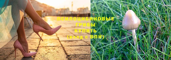 соль курить ск Вязьма