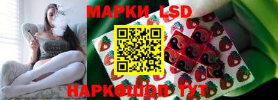 спиды Камышлов