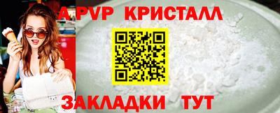 спиды Камышлов