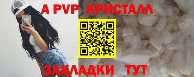 спиды Камышлов