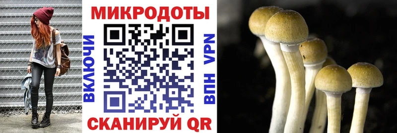 ОМГ ОМГ ONION  цены наркотик  Назарово  Галлюциногенные грибы ЛСД 