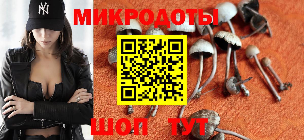 Галлюциногенные грибы Psilocybine cubensis  Назарово 